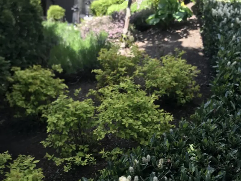 Gallery Thumbnail 17